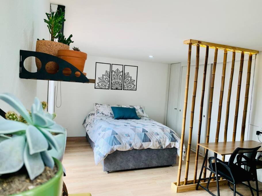 Amazing loft in La Candelaria