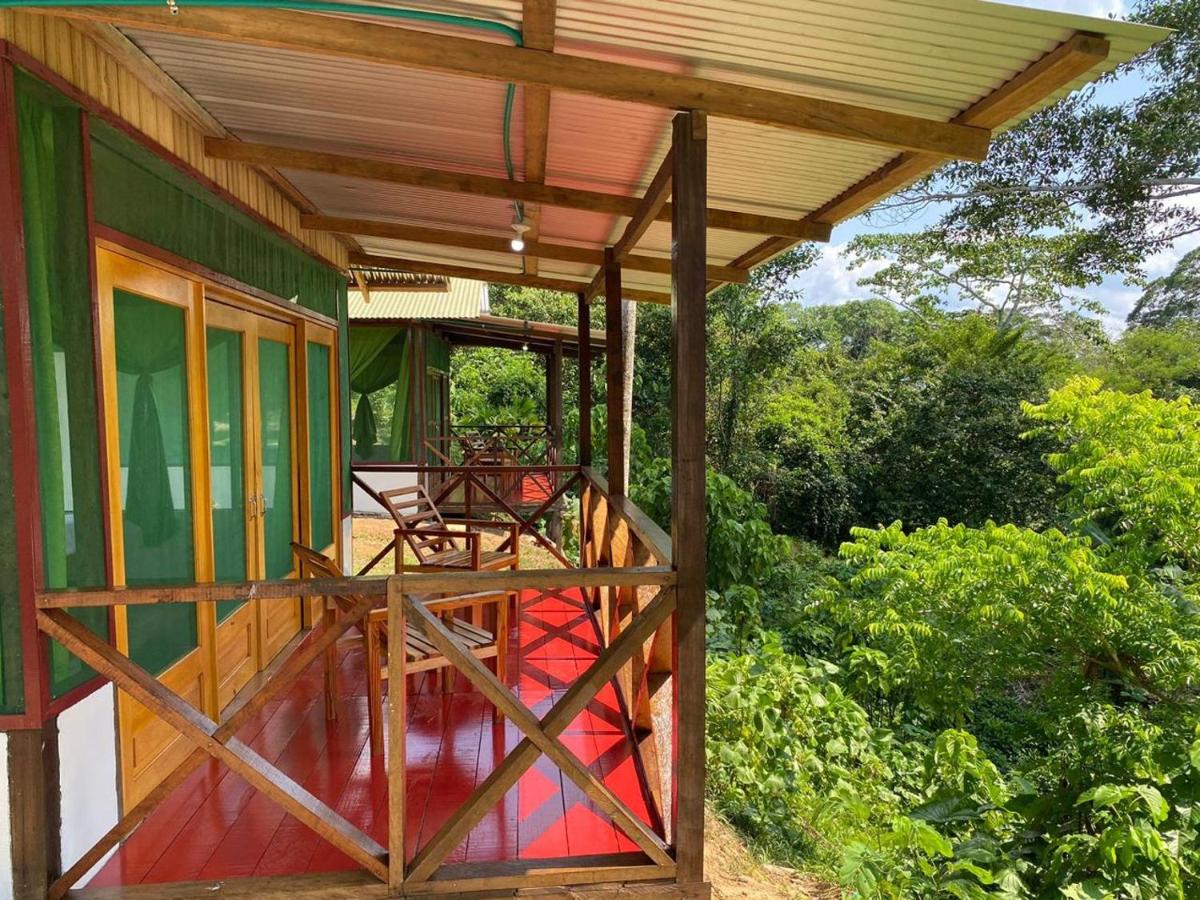 Amazon Açaí Lodge