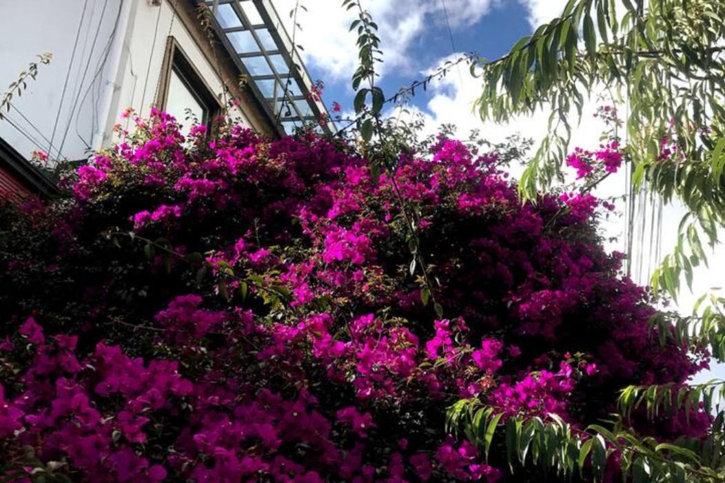 Anastasio Gutman House