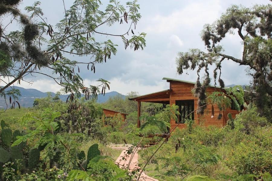 Cabañas Finca La Buganvilia