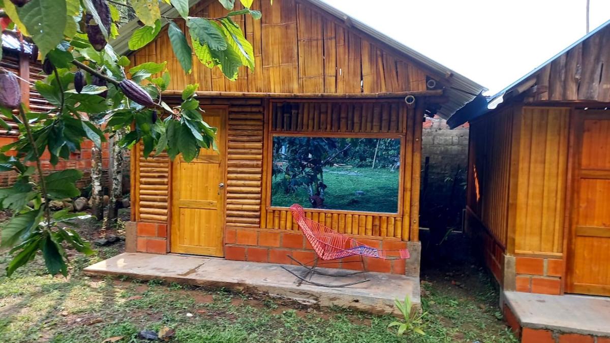 Cabañas orquídea