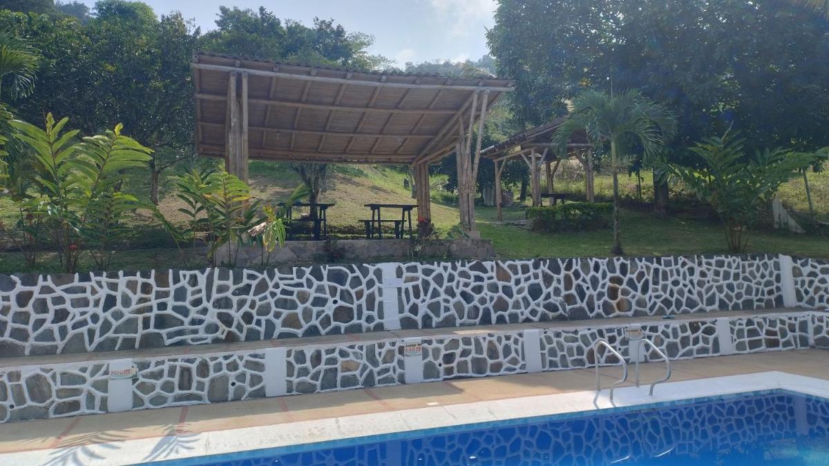 CAMPING Y PISCINA LOS NARANJOS