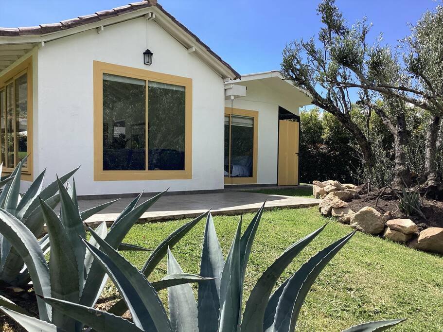 Casa de los Olivos!