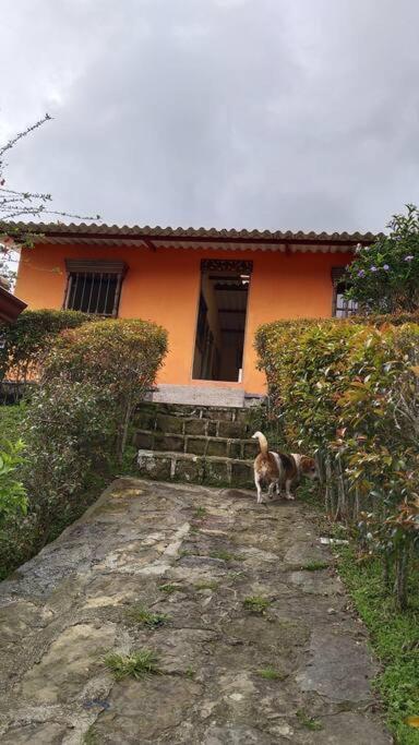 Casa de muñecas, Finca el paraíso