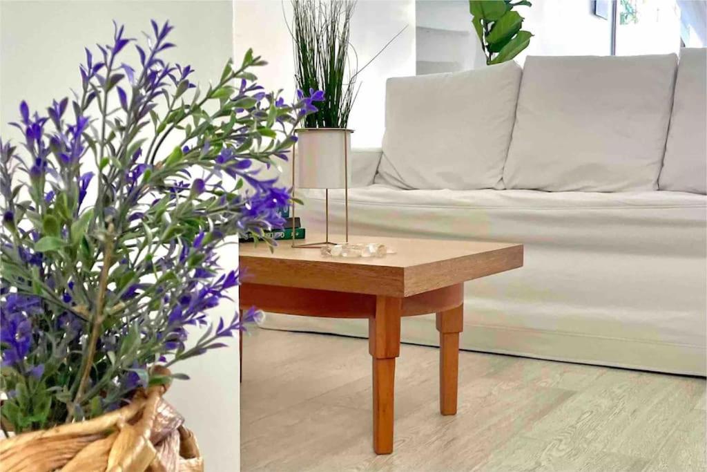 Casa Luz Boutique, Live Local!