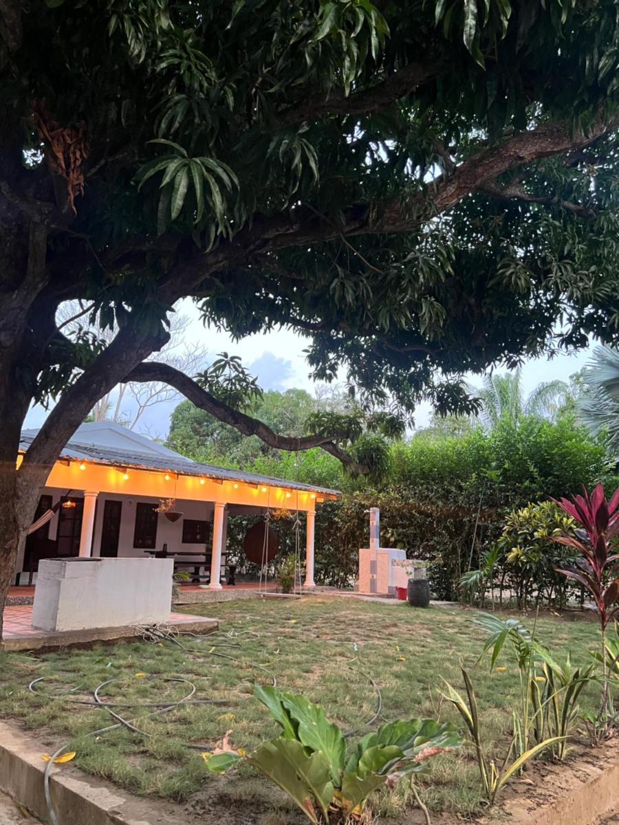 Casa Moyle