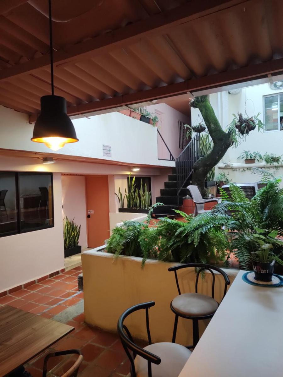 Casa Primavera Hostal