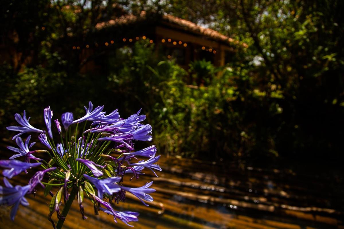 Clavellino House Campestre-Villa de Leyva-WIFI