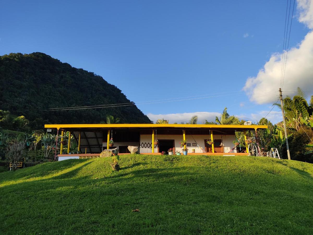 Finca La Antigua. finca tradicional Cafetera