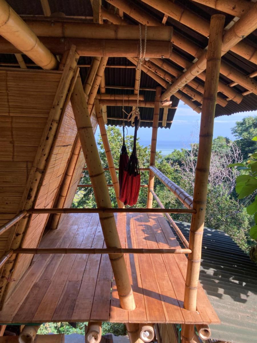 Finca La Selvita