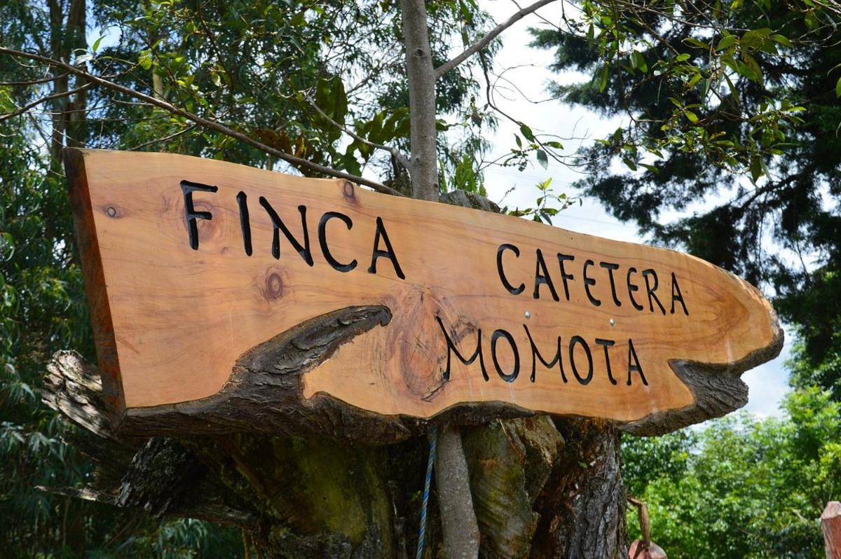 Finca Momota Salento