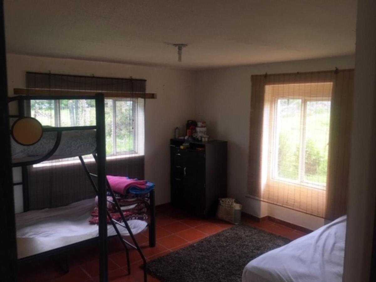 Finca San Carlos 100% pet friendly