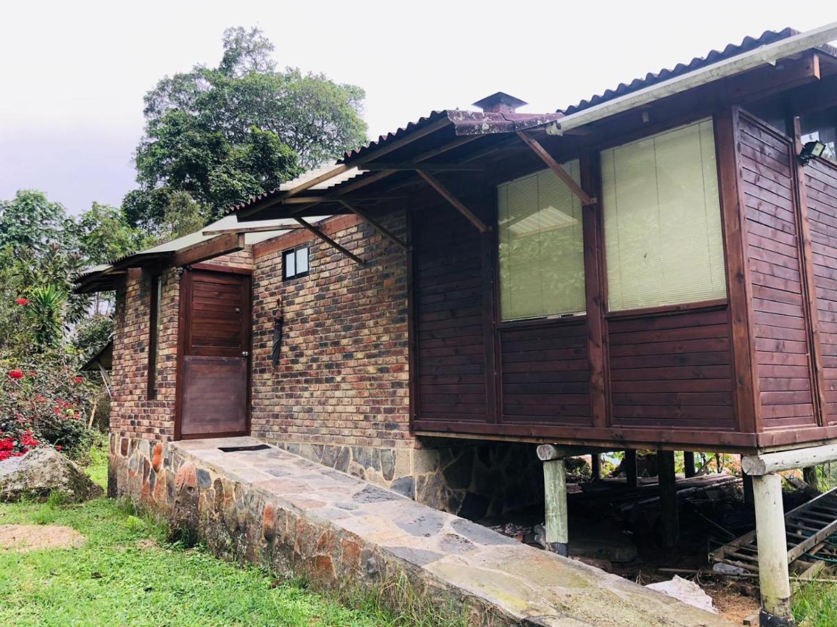 Finca San José