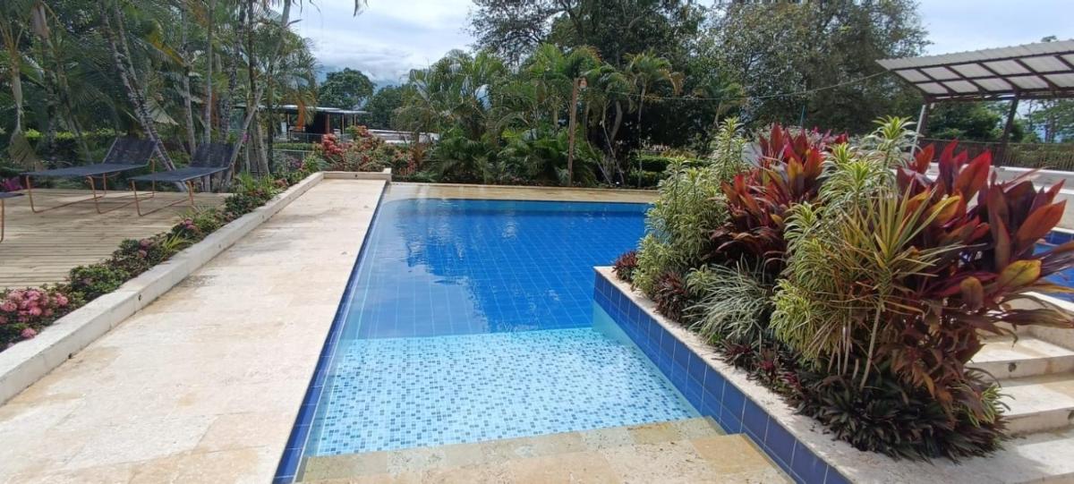 Glampin básicos bali