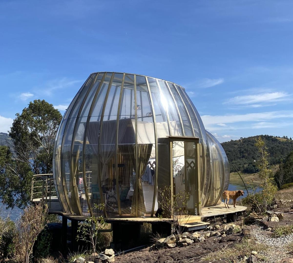 Guatavita Glamping club