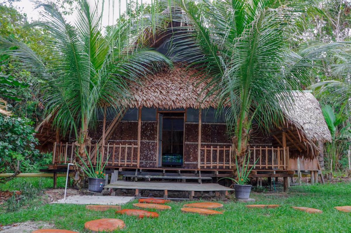 Hospedaje SELVA DE AVES