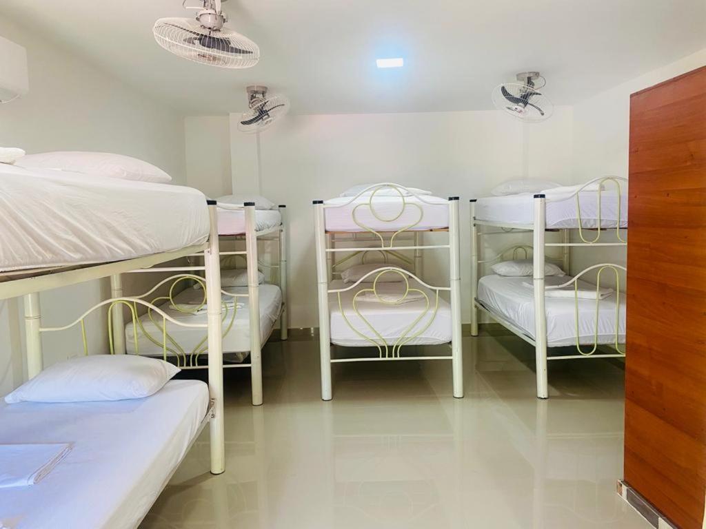 Hostel Green Light