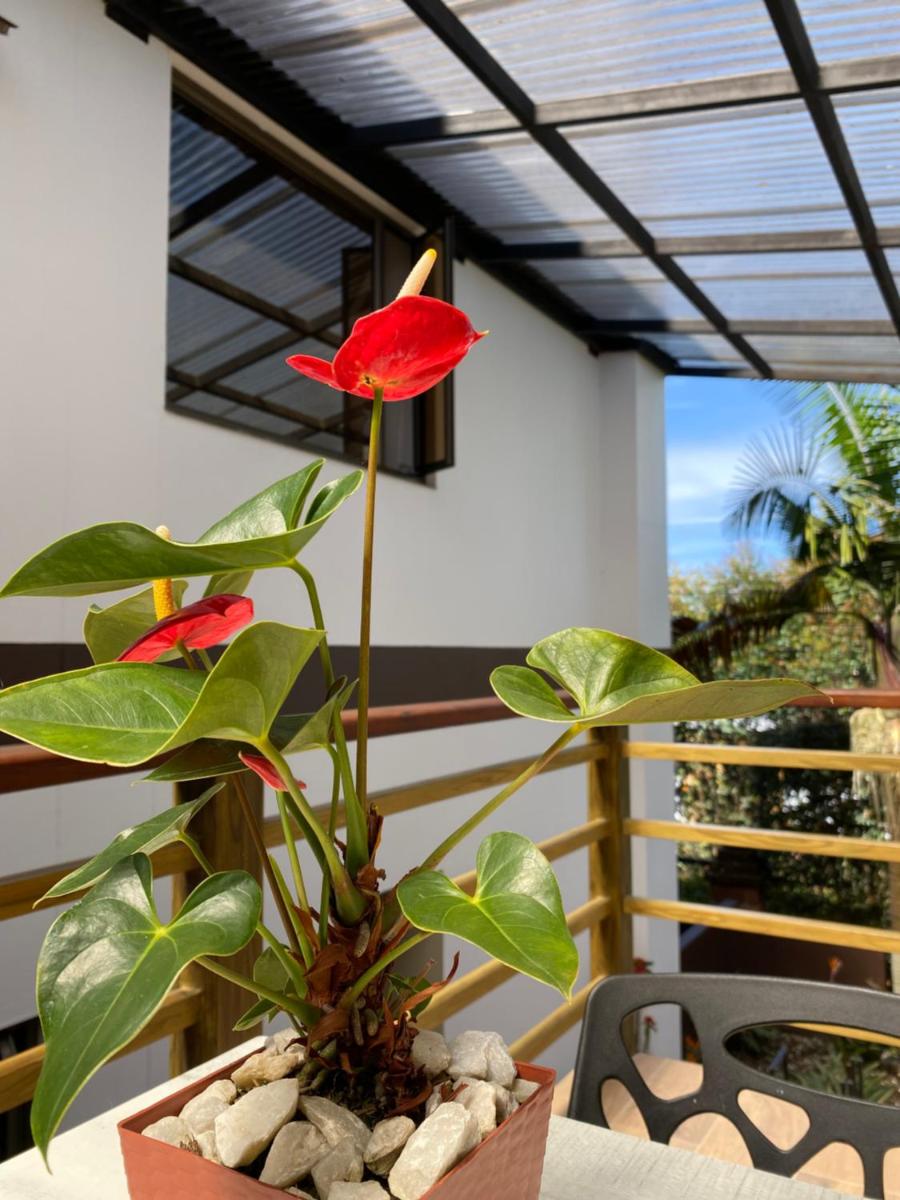 Hotel Campo Real