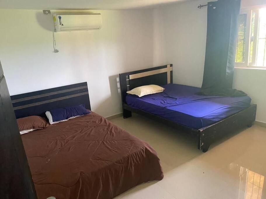La Marina Hostal