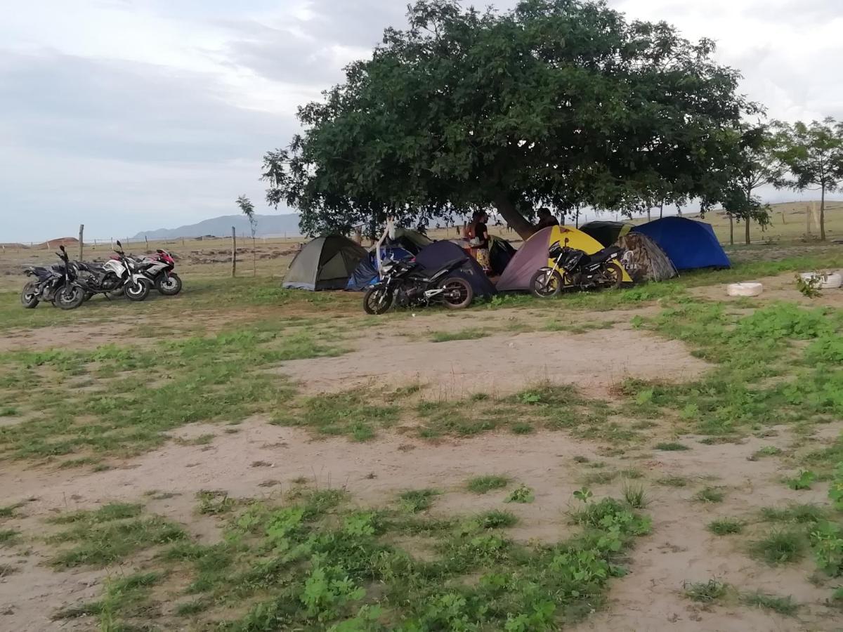 Pachingo la primavera
