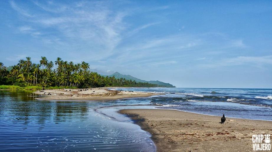 Playa Samara Hostel