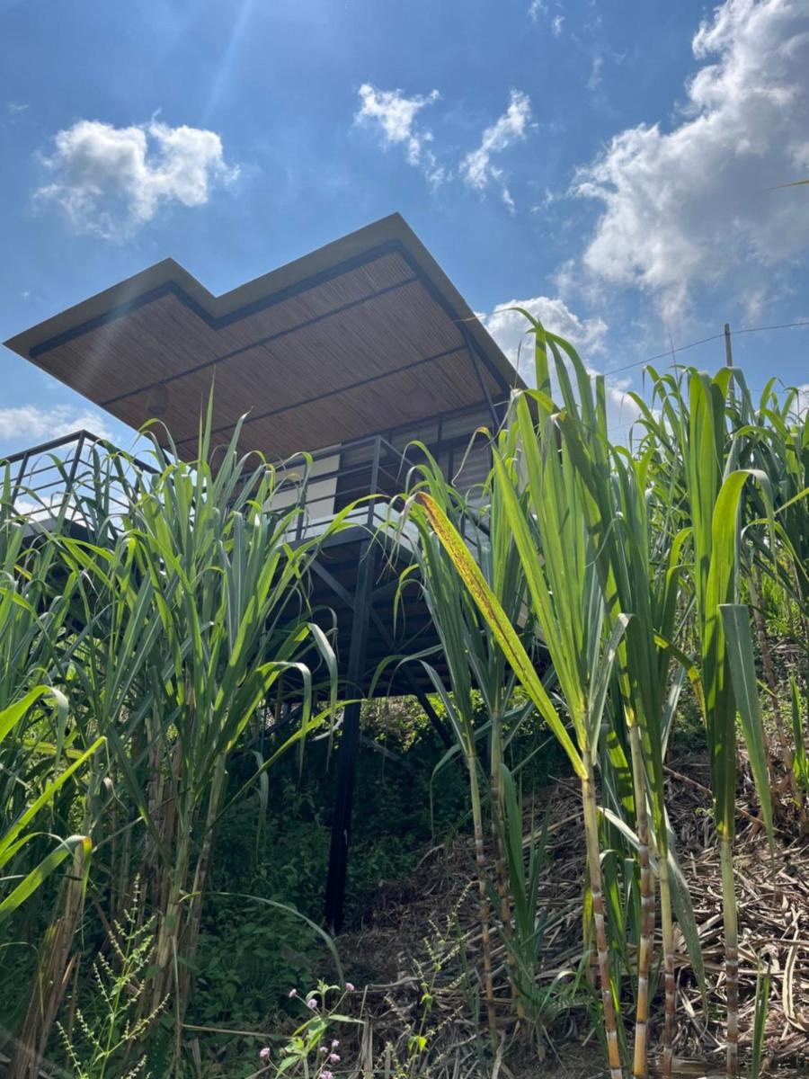 Romantic Glamping for 2 in the Mountain